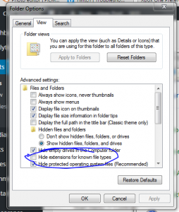 Read more about the article Show File Extensions in Windows 7