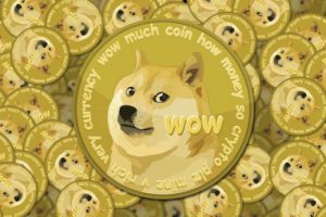 Read more about the article How To Fix Dogecoin Wallet Stuck, Not Syncing, Much Problem