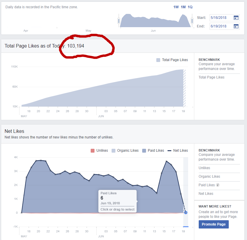 Facebook Likes Data